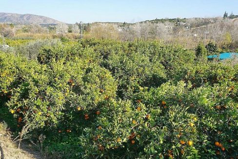 Villa-Country-House-garden-view-Alhaurin-el-Grande-Malaga-Spain-Magnificasa