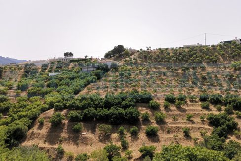 Casa-Chalet-rustica-de-campo-view-terrain2-Alhaurín-el-Grande-ref-M002080-Magnificasa