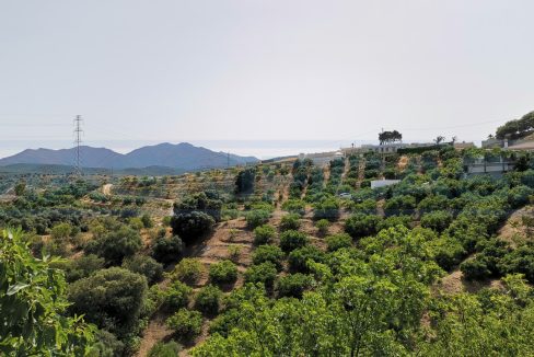 Casa-Chalet-rustica-de-campo-view-vista-Alhaurín-el-Grande-ref-M002080-Magnificasa