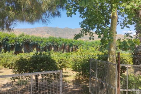 M002084-Finca-de-Campo-gate-entrance-jardin-Alora-Magnificasa