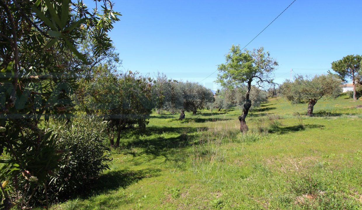 Casa rústico con 57.000m2 en Coin-view-gardin-terrain-Magnificasa