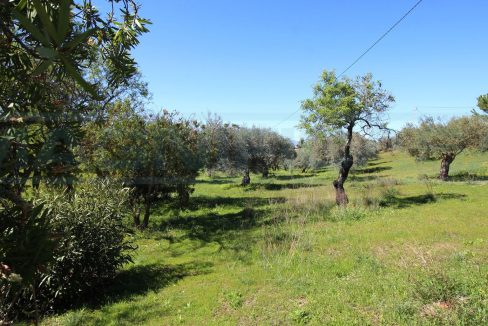 Casa rústico con 57.000m2 en Coin-view-gardin-terrain-Magnificasa