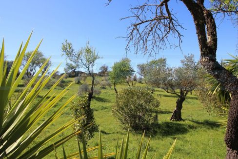 Casa rústico con 57.000m2 en Coin-view-terrain-Magnificasa