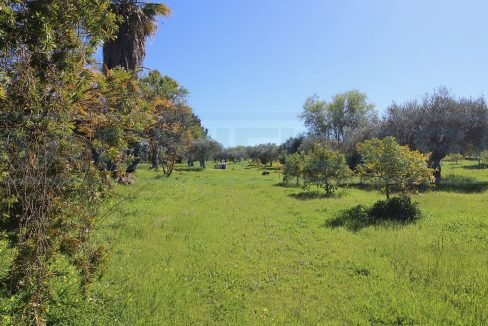 Casa rústico con 57.000m2 en Coin-view-terrain2-Magnificasa