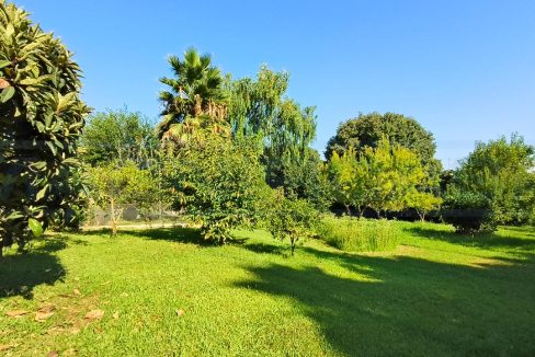 Finca-3bedrooms-3bathrooms-view-large-garden-Alhaurin-el-Grande-Magnificasa